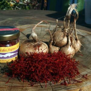 Safran du Roussillon, 0,2 g