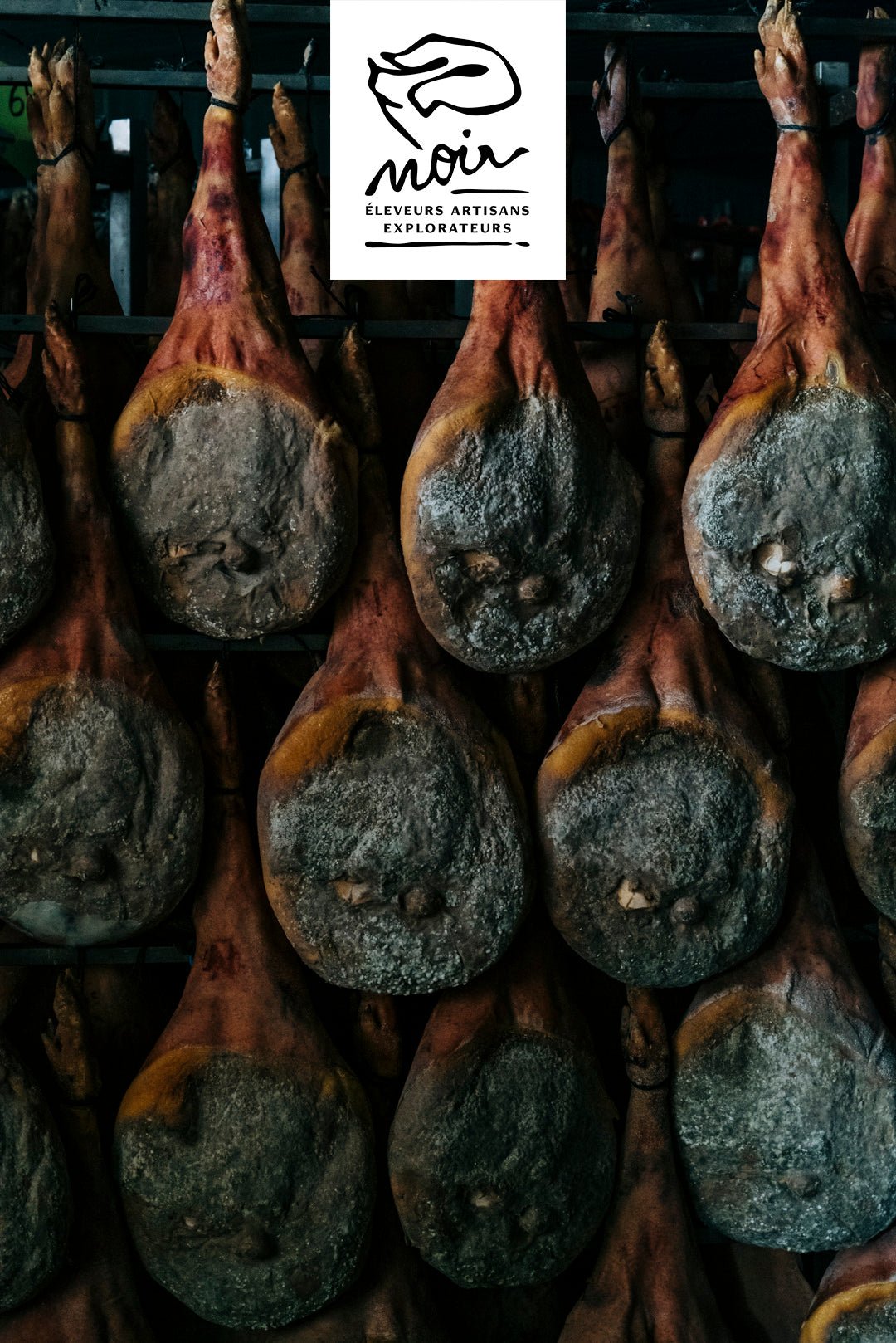 Jambon entier de Porc Noir de Bigorre AOP, avec os, affinage 24 mois